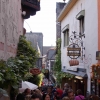 2015 Jahresausflug