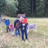 2016-10-15 Wanderung zur Grünhütte