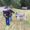 2016-10-15 Wanderung zur Grünhütte