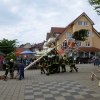 2014 Maibaumstellen